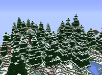 Traverse snowy coniferous forest.png