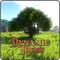 Dynamic Trees