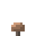 Brown Mushroom