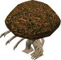 A Russet Treant