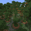 Jungle Village