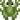 Frog.png